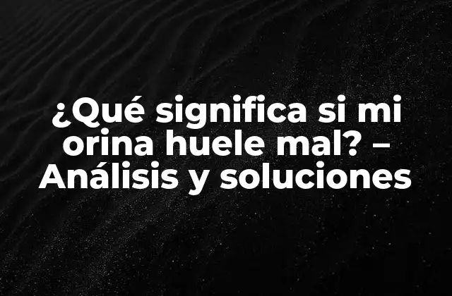 ¿qué Significa Si Mi Orina Huele Mal? - Análisis y Soluciones 2 Causas comunes de la orina con mal olor
