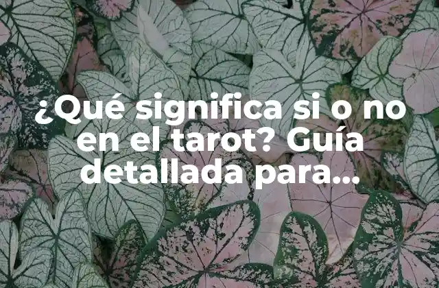 ¿qué Significa Si o No en el Tarot? Guía Detallada para Principiantes