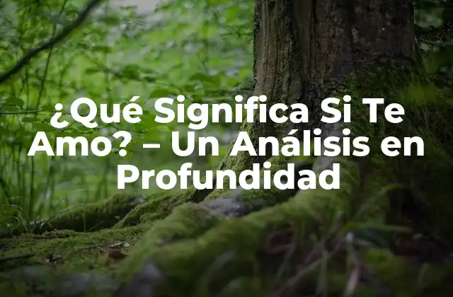 ¿qué Significa Si Te Amo? – un Análisis en Profundidad