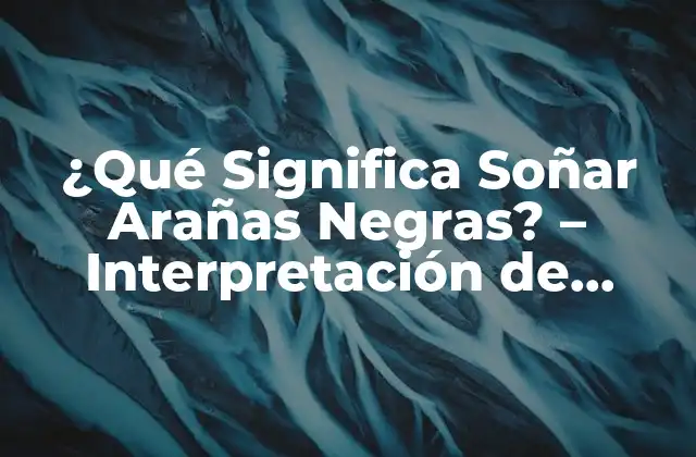 ¿qué Significa Soñar Arañas Negras? – Interpretación de Sueños