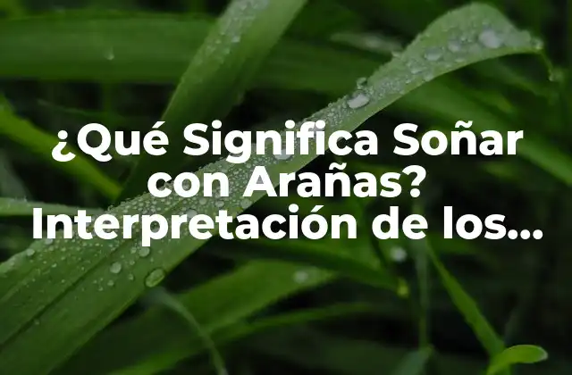 ¿qué Significa Soñar con Arañas? Interpretación de los Sueños con Arañas