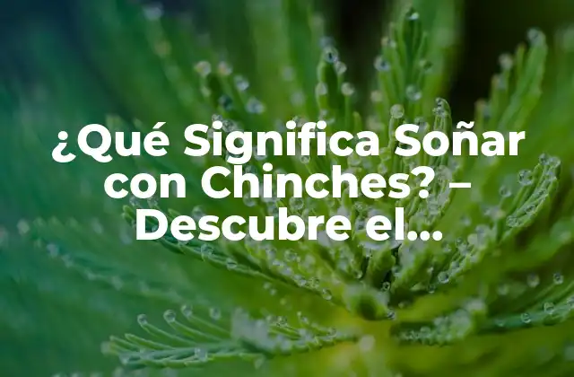 ¿qué Significa Soñar con Chinches? – Descubre el Significado de Este Sueño