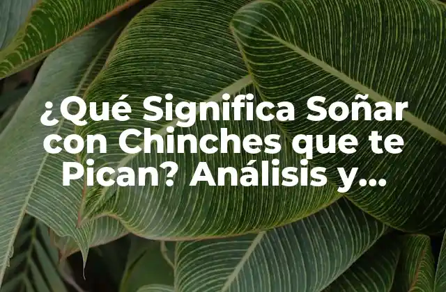 ¿qué Significa Soñar con Chinches que Te Pican? Análisis y Interpretación de los Sueños de Chinches