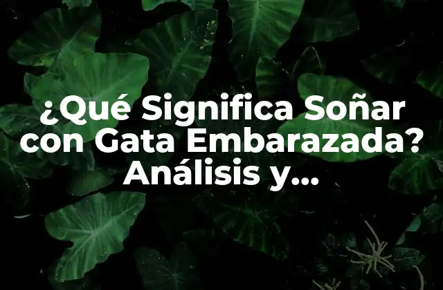 ¿qué Significa Soñar con Gata Embarazada? Análisis y Interpretación de los Sueños