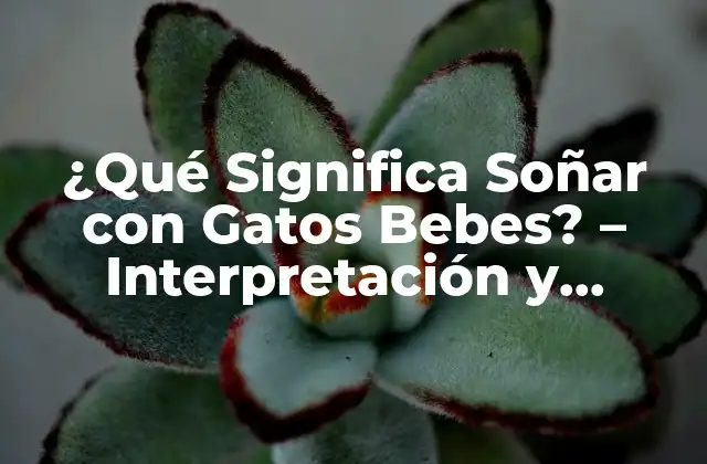 ¿qué Significa Soñar con Gatos Bebes? – Interpretación y Simbolismo