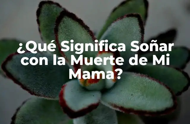 ¿qué Significa Soñar con la Muerte de Mi Mama?