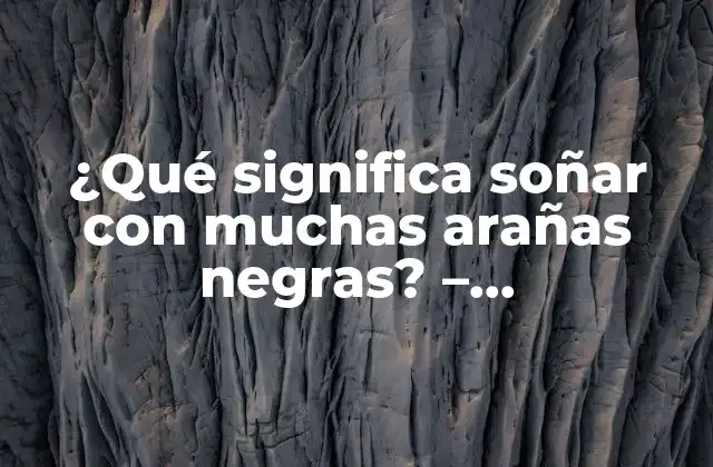 ¿qué Significa Soñar con Muchas Arañas Negras? – Interpretación de los Sueños