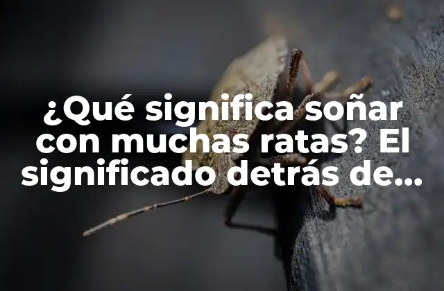 ¿qué Significa Soñar con Muchas Ratas? el Significado Detrás de Este Turbulento Sueño
