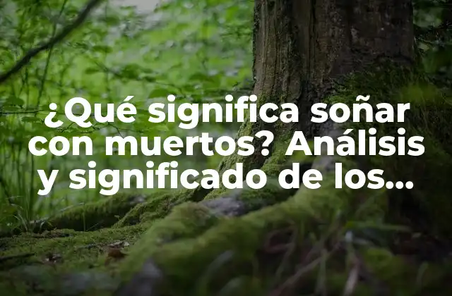¿qué Significa Soñar con Muertos? Análisis y Significado de los Sueños con Fallecidos