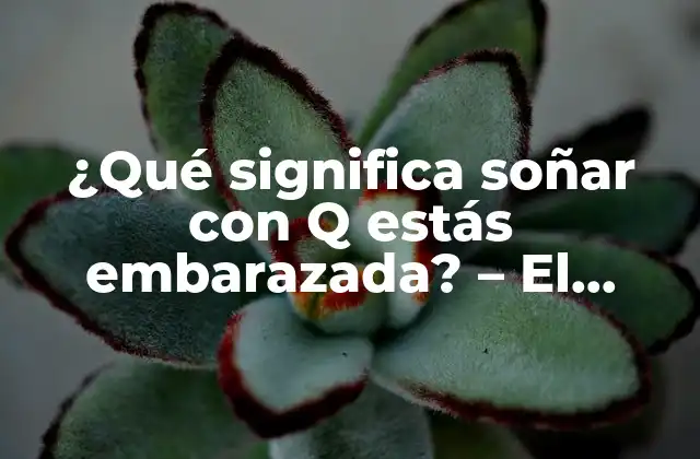 ¿qué Significa Soñar con Q Estás Embarazada? – el Significado Detrás de Este Sueño Común