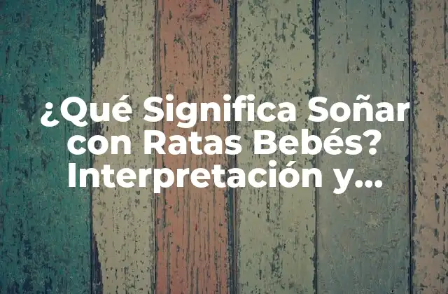 ¿qué Significa Soñar con Ratas Bebés? Interpretación y Análisis de los Sueños