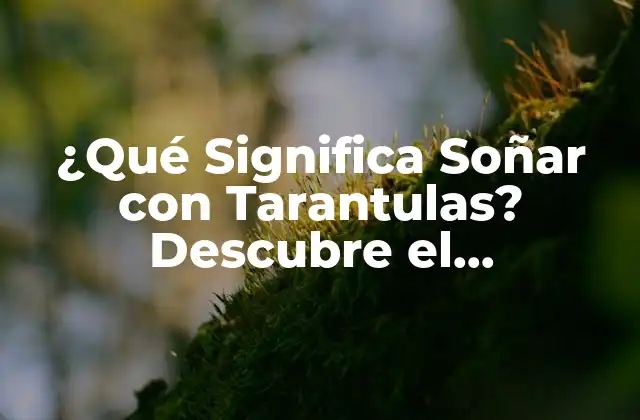 ¿qué Significa Soñar con Tarantulas? Descubre el Simbolismo y el Significado