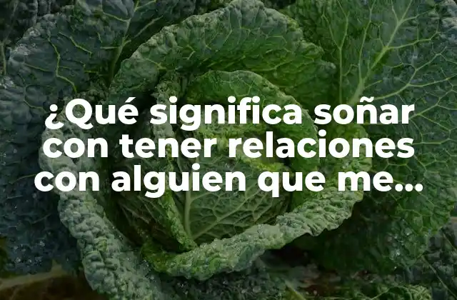 ¿qué Significa Soñar con Tener Relaciones con Alguien que Me Gusta?