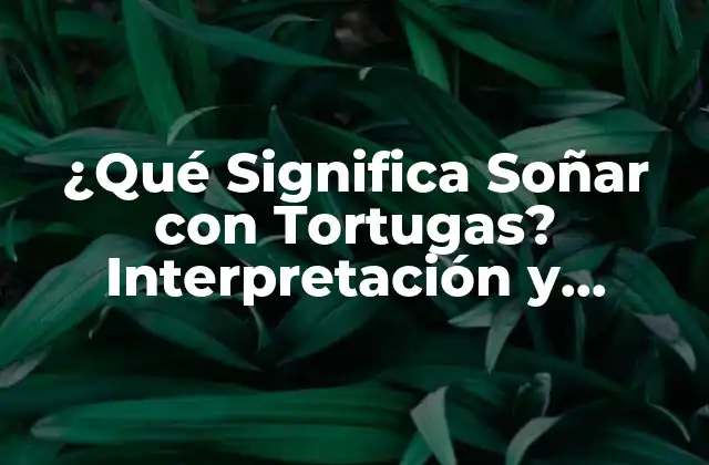 ¿qué Significa Soñar con Tortugas? Interpretación y Simbolismo