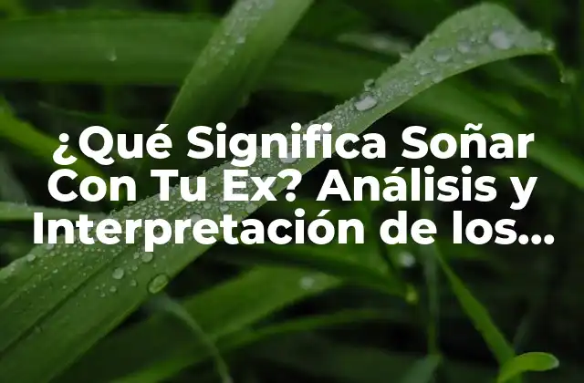 ¿qué Significa Soñar con Tu Ex? Análisis y Interpretación de los Sueños