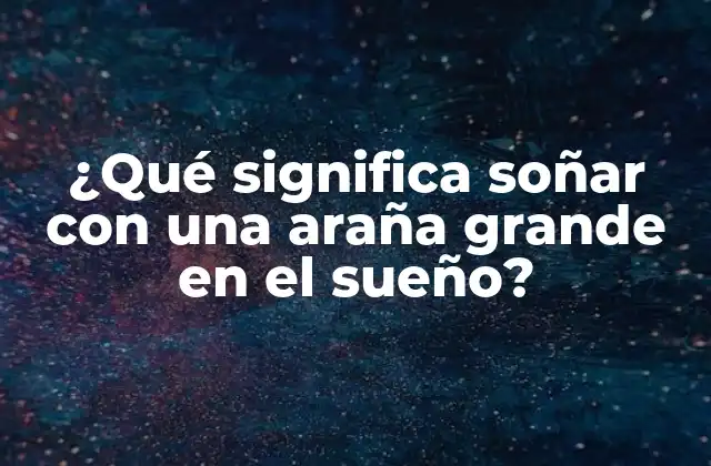 ¿qué Significa Soñar con una Araña Grande en el Sueño?