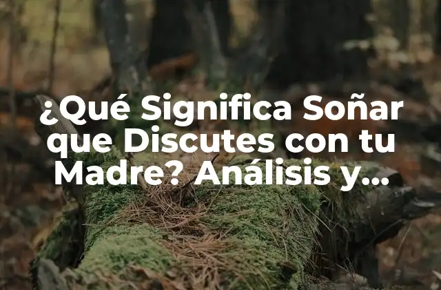 ¿qué Significa Soñar que Discutes con Tu Madre? Análisis y Interpretación de los Sueños