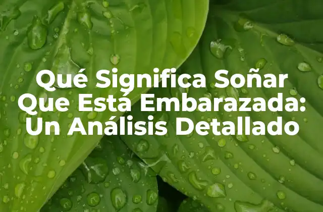 Qué Significa Soñar que Está Embarazada: un Análisis Detallado
