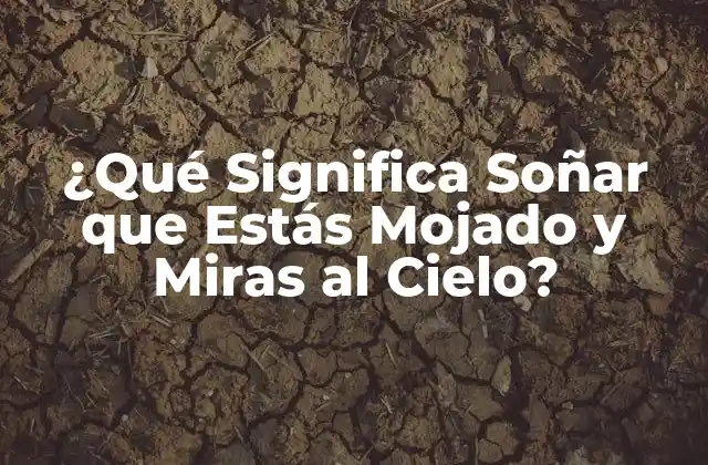 ¿qué Significa Soñar que Estás Mojado y Miras Al Cielo? 2 El Significado de la Lluvia en los Sueños