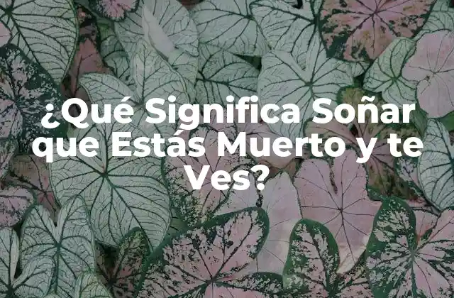 ¿qué Significa Soñar que Estás Muerto y Te Ves? 2 El Poder del Subconsciente