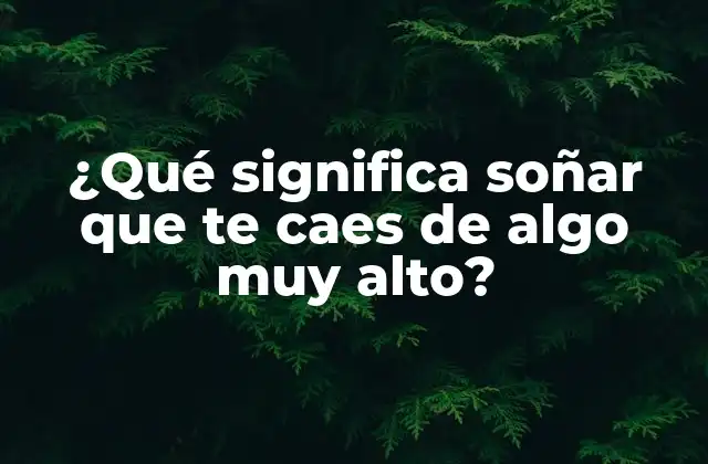 ¿qué Significa Soñar que Te Caes de Algo Muy Alto?
