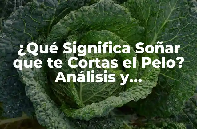 ¿qué Significa Soñar que Te Cortas el Pelo? Análisis y Interpretación de los Sueños