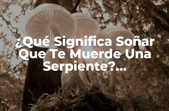 ¿qué Significa Soñar que Te Muerde una Serpiente? Interpretación y Significado