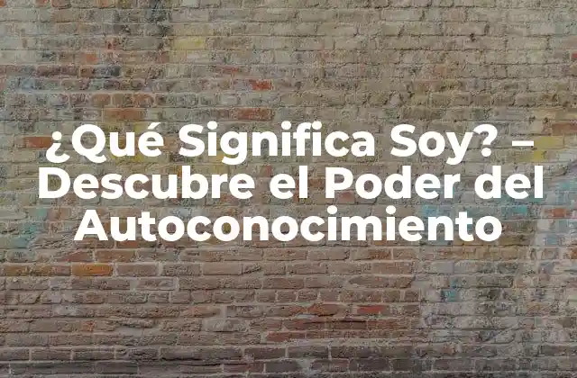 La Búsqueda de la Identidad - El Origen de la Pregunta Qué Significa Soy