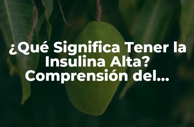¿qué Significa Tener la Insulina Alta? Comprensión Del Problema