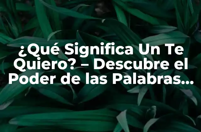 ¿qué Significa un Te Quiero? – Descubre el Poder de las Palabras en las Relaciones