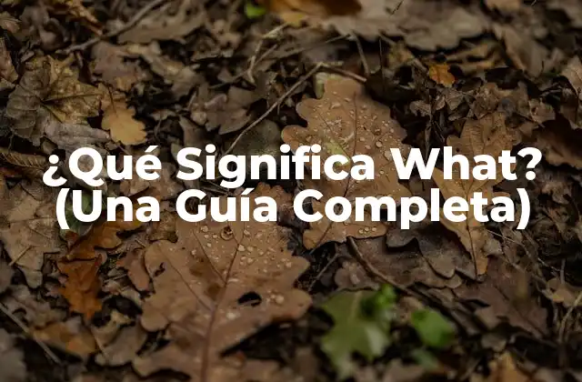 Orígenes y Evolución del Término What