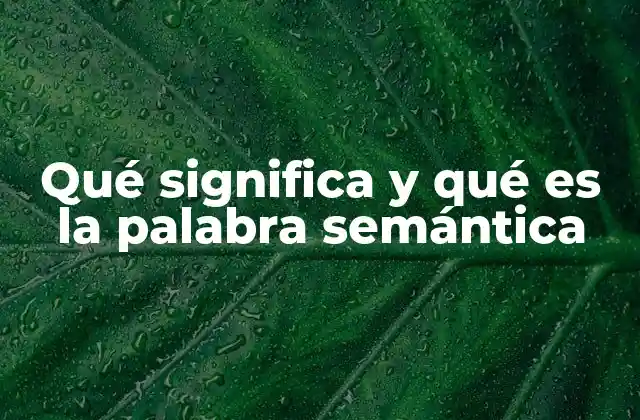 Qué Significa y Qué es la Palabra Semántica