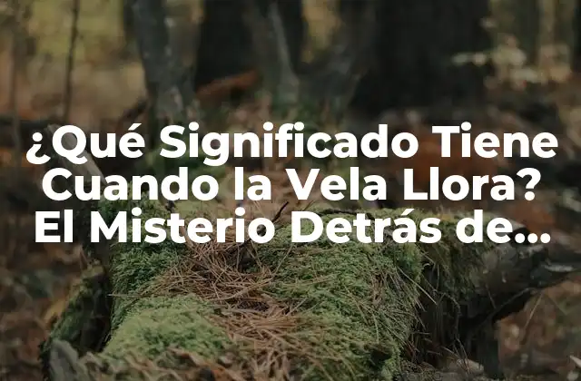 ¿qué Significado Tiene Cuando la Vela Llora? el Misterio Detrás de Este Fenómeno
