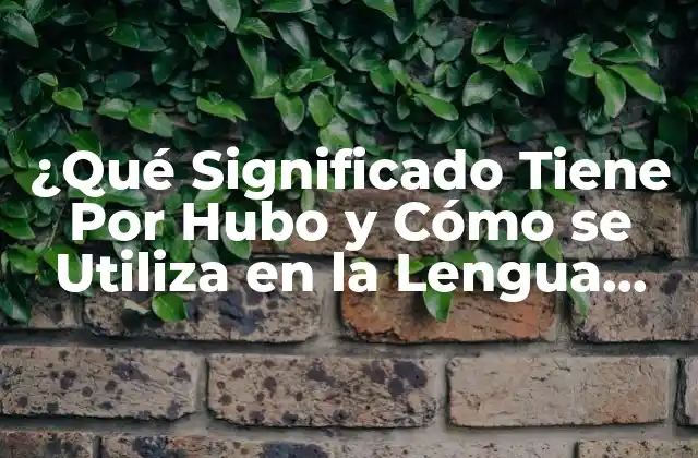 ¿qué Significado Tiene por Hubo y Cómo Se Utiliza en la Lengua Española?