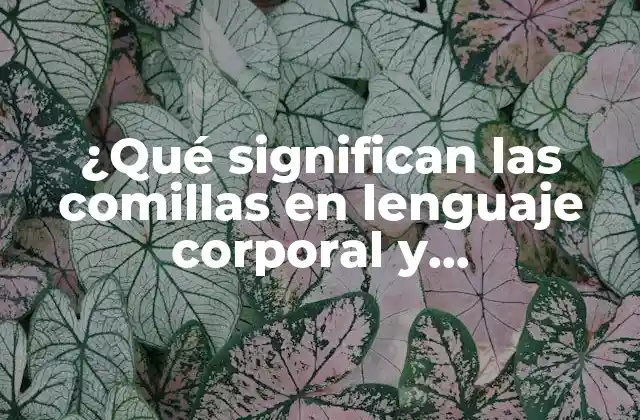 ¿qué Significan las Comillas en Lenguaje Corporal y Comunicación?