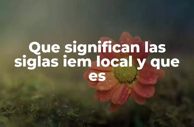 Que Significan las Siglas Iem Local y que es 2 El papel de las instituciones con siglas IEM en el desarrollo local