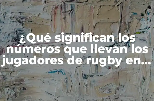 ¿qué Significan los Números que Llevan los Jugadores de Rugby en la Espalda?