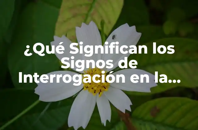 ¿qué Significan los Signos de Interrogación en la Comunicación? 2 Origen de los Signos de Interrogación