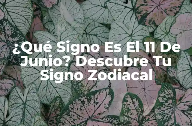 Los 12 Signos Zodiacales y sus Fechas de Nacimiento