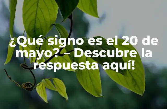 ¿qué Signo es el 20 de Mayo? – Descubre la Respuesta Aquí!