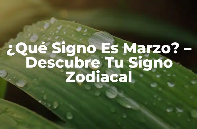 El Zodíaco y los Doce Signos