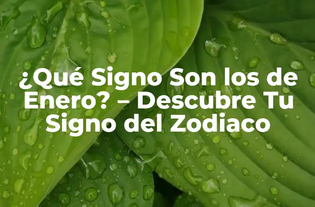 ¿qué Signo Son los de Enero? – Descubre Tu Signo Del Zodiaco