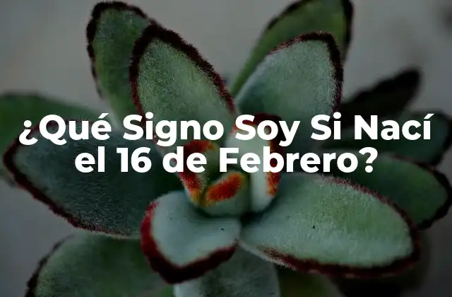 ¿Cuál es el Signo del Zodiaco que Corresponde al 16 de Febrero?