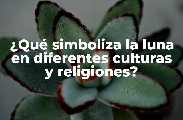 ¿qué Simboliza la Luna en Diferentes Culturas y Religiones?