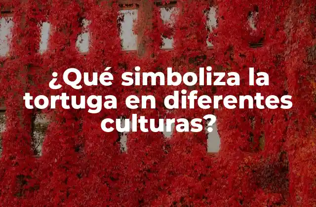 ¿qué Simboliza la Tortuga en Diferentes Culturas?