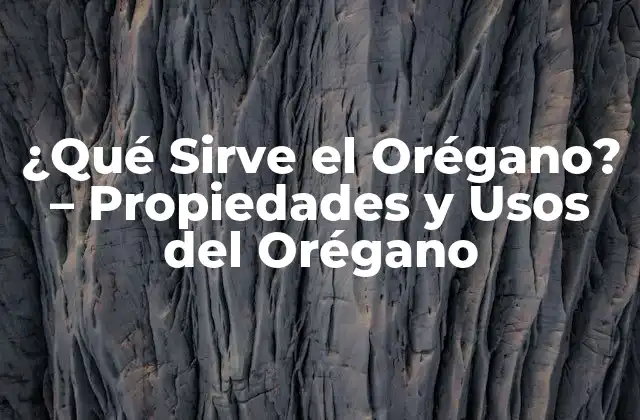 ¿qué Sirve el Orégano? – Propiedades y Usos Del Orégano