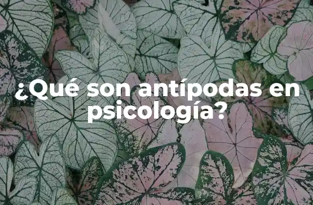 ¿qué Son Antípodas en Psicología? 2 La importancia de los opuestos en la psique humana