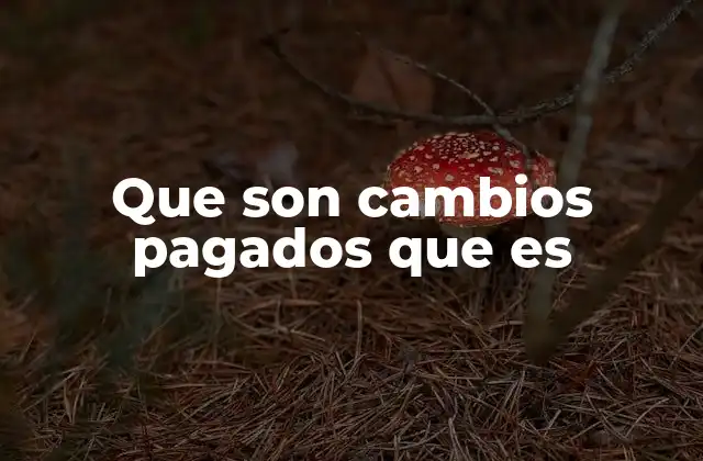 Que Son Cambios Pagados que es