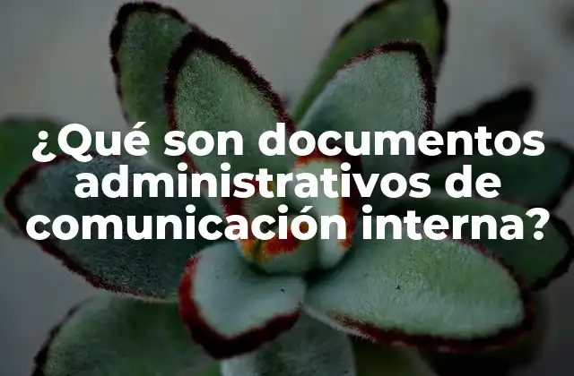 ¿qué Son Documentos Administrativos de Comunicación Interna?
