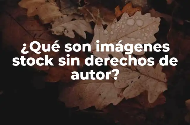 ¿Qué son las imágenes stock sin derechos de autor?